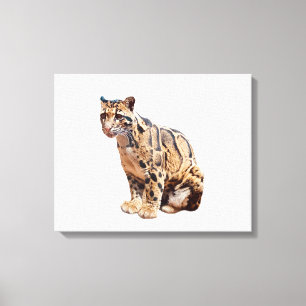 clouded leopard photograph jungle big cat animal   canvas print