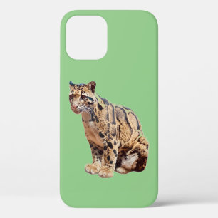 clouded leopard photograph jungle big cat animal iPhone 12 case