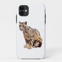clouded leopard photograph jungle big cat animal