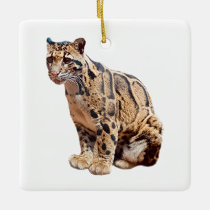 clouded leopard photograph jungle big cat animal   ceramic ornament