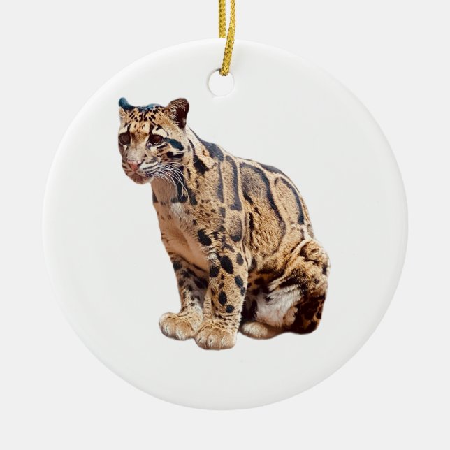 clouded leopard photograph jungle big cat animal   ceramic tree decoration (Front)