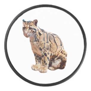 clouded leopard photograph jungle big cat animal hockey puck