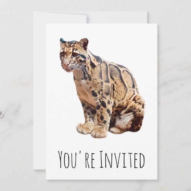 clouded leopard photograph jungle big cat animal   invitation (Front)