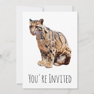 clouded leopard photograph jungle big cat animal invitation