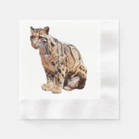 clouded leopard photograph jungle big cat animal