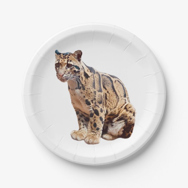 clouded leopard photograph jungle big cat animal   paper plate (Front)