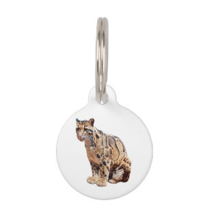 clouded leopard photograph jungle big cat animal   pet tag