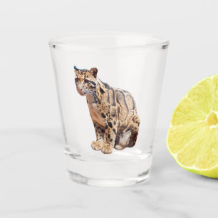 clouded leopard photograph jungle big cat animal shot glass