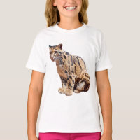 clouded leopard photograph jungle big cat animal
