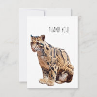 clouded leopard photograph jungle big cat animal  