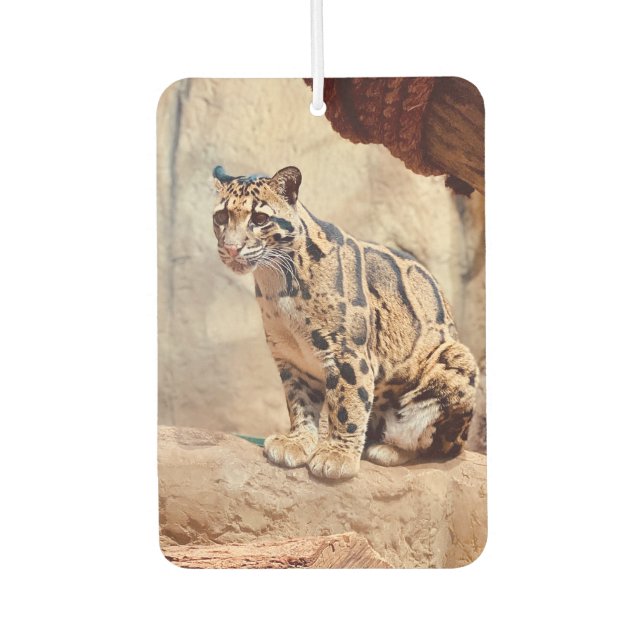clouded leopard picture nature wildlife exotic car air freshener (Front)