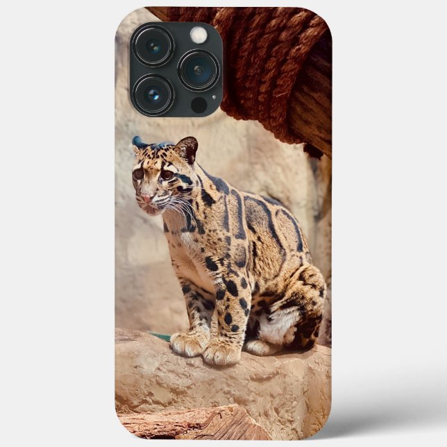 clouded leopard picture nature wildlife exotic Case-Mate iPhone case (Back)