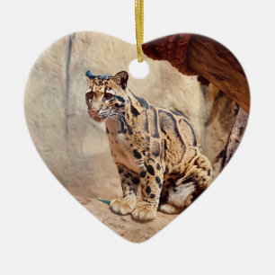 clouded leopard picture nature wildlife exotic ceramic tree decoration