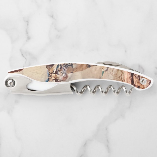 clouded leopard picture nature wildlife exotic corkscrew (Front)