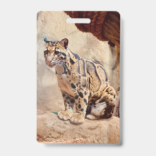 clouded leopard picture nature wildlife exotic ID badge
