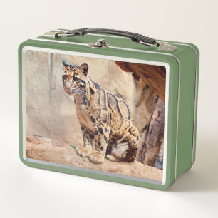 clouded leopard picture nature wildlife exotic metal lunch box