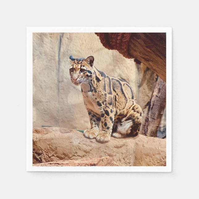 clouded leopard picture nature wildlife exotic napkin (Front)