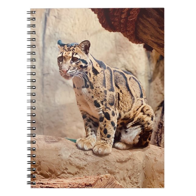 clouded leopard picture nature wildlife exotic notebook (Front)