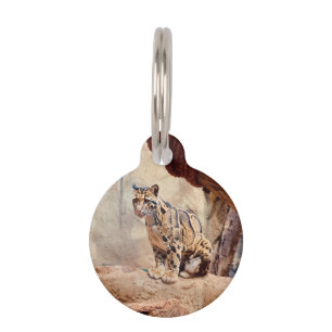 clouded leopard picture nature wildlife exotic pet tag
