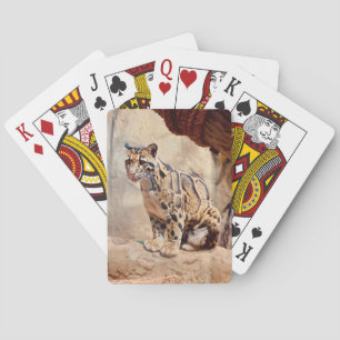 clouded leopard picture nature wildlife exotic playing cards
