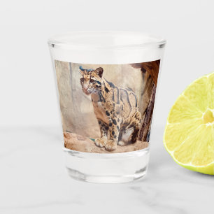clouded leopard picture nature wildlife exotic shot glass