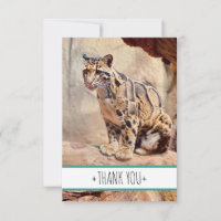 clouded leopard picture nature wildlife exotic