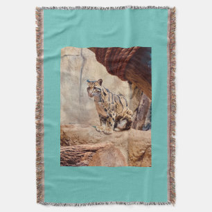 clouded leopard picture nature wildlife exotic throw blanket