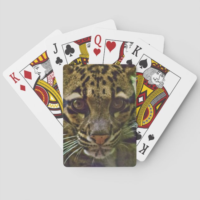 Clouded Leopard Playing Cards (Back)