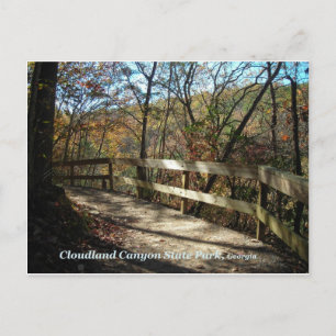 Cloudland Canyon State Park Pathway Postcard