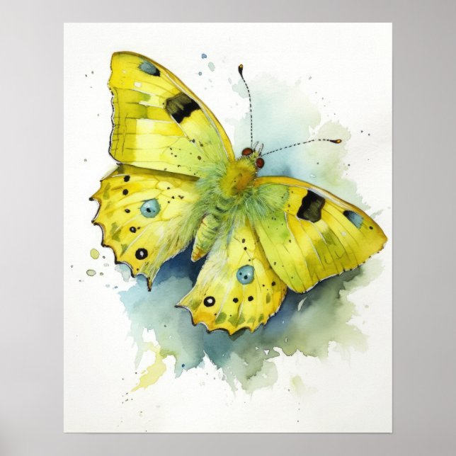 Cloudless Sulphur Butterfly Art Print Poster (Front)