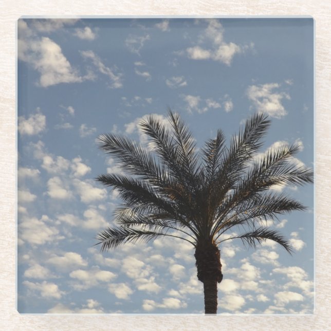 Clouds and Palm Tree Glass Coaster (Front)