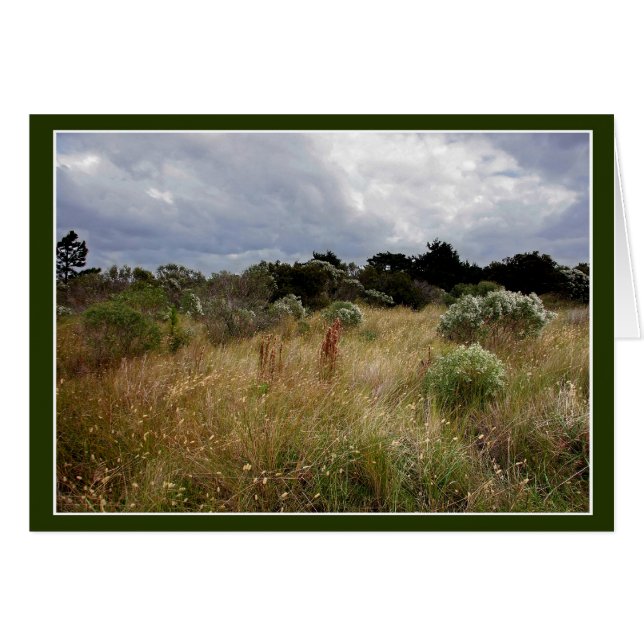 Clouds and Tall Grass OBX (Front Horizontal)