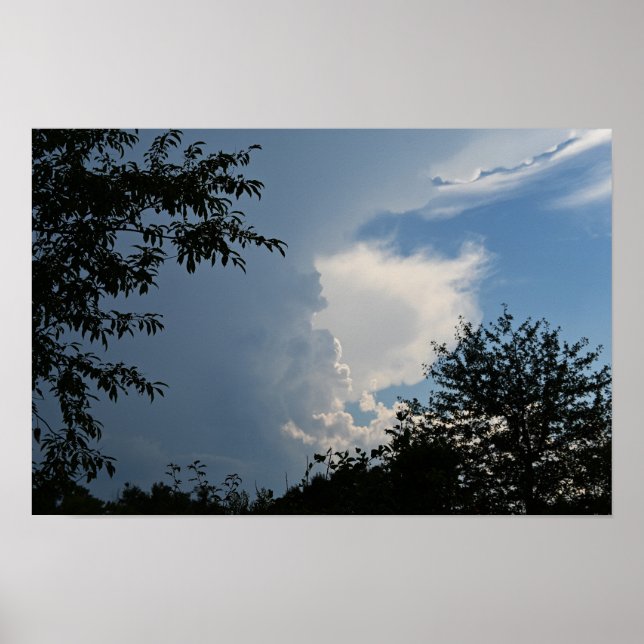 Clouds and Trees Poster (Front)