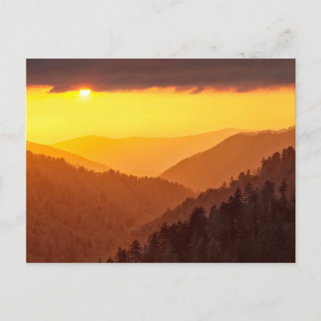 Clouds Fills Valley, Tennessee Postcard (Front)