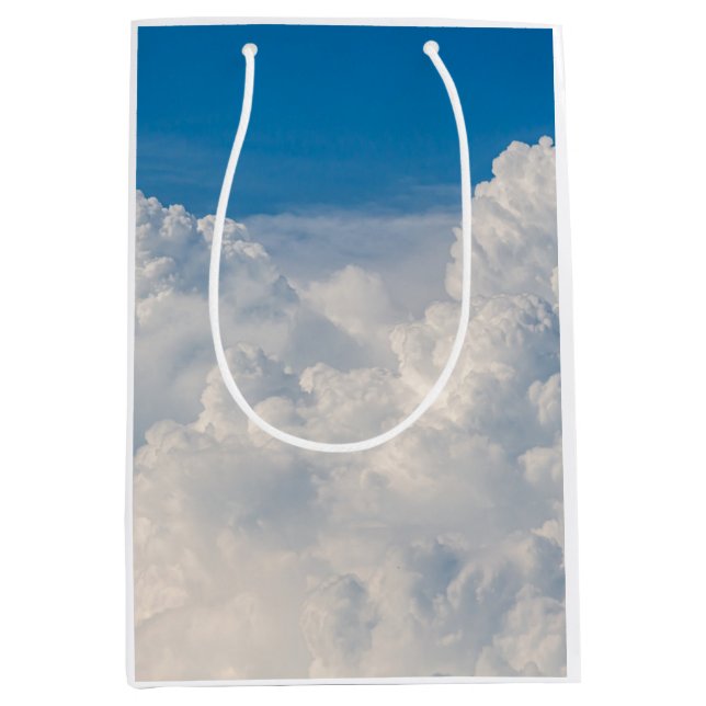 Clouds in the Sky Medium Gift Bag (Front)
