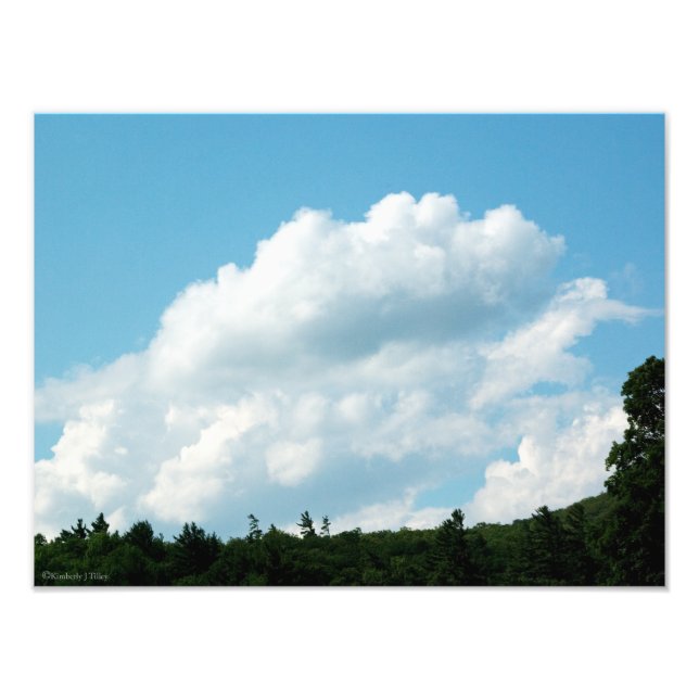 Clouds Meet Trees Photo Print (Front)