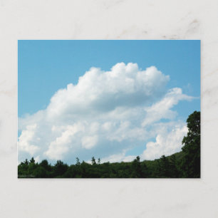 Clouds Meet Trees Postcard