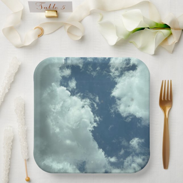 Clouds through the sunroof  paper plate (Wedding)