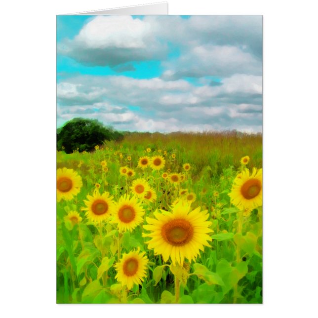 Clouds today, Sunflower card, nature photography (Front)