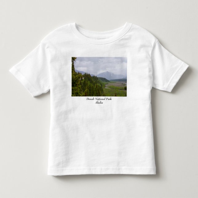 Cloudy At Denali Toddler T-Shirt (Front)