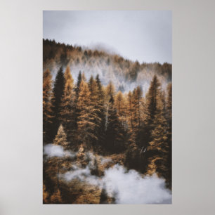 CLOUDY DAY AND TREES DURING DAWN TIME POSTER