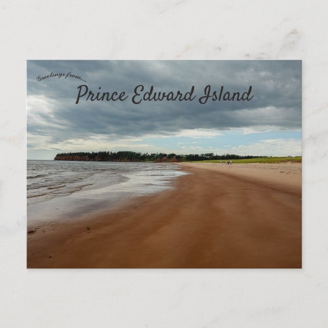 Cloudy Day on a Beach in Prince Edward Island Postcard (Front)