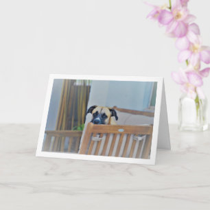 Cloudy Dog Portrait Card