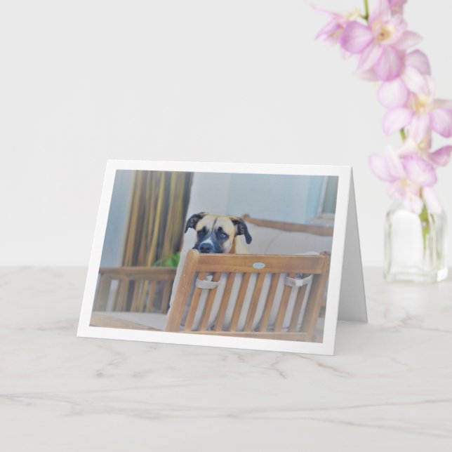 Cloudy Dog Portrait Card (Orchid)