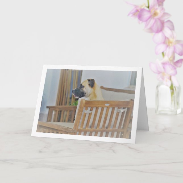 Cloudy Dog Portrait Card (Orchid)