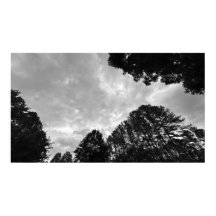 Cloudy Skies, Poster