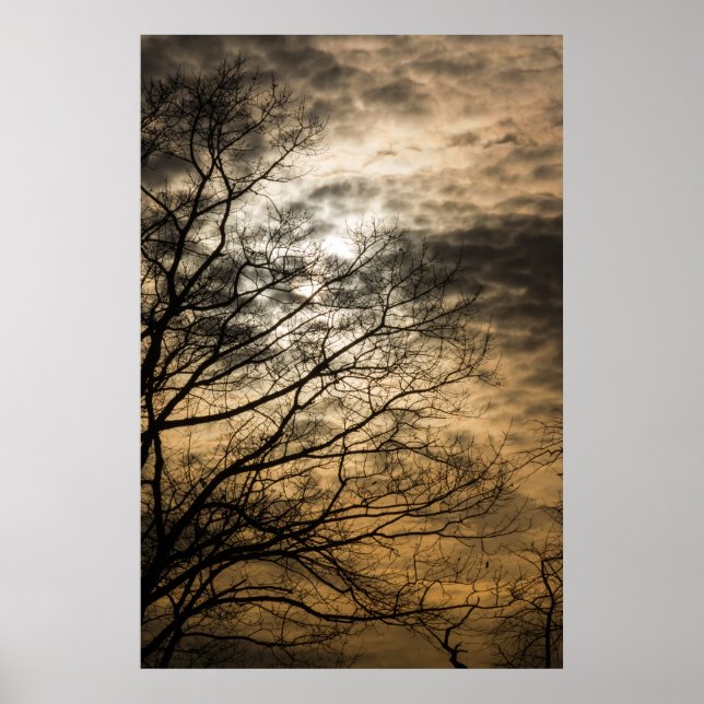 Cloudy Sun Scene Poster (Front)