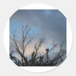 Cloudy SunSet Tree #2 Classic Round Sticker
