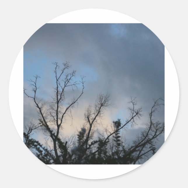 Cloudy SunSet Tree #2 Classic Round Sticker (Front)