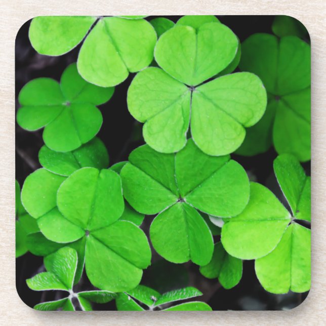 Clover Coaster (Front)
